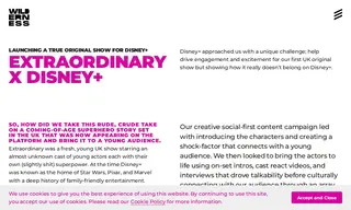 Preview of the Disney+ Case Study