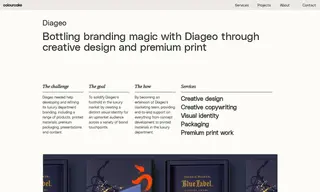 Preview of the Diageo Case Study