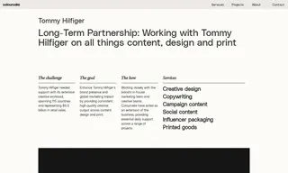 Preview of the Tommy Hilfiger Case Study