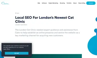 Preview of the The London Cat Clinic Case Study