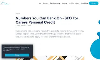 Preview of the Careys Personal Credit Case Study