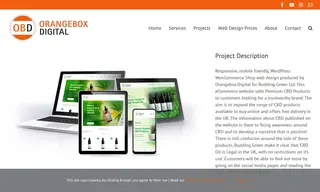 Preview of the Budding Green Ltd Case Study