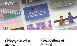 Preview of the Royal College of Nursing Case Study