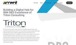 Preview of the Triton Consulting Case Study