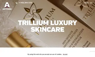 Preview of the Trillium Skincare Case Study