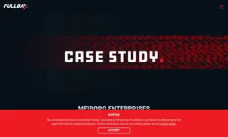 Preview of the Meiborg Enterprises Case Study