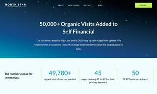 Preview of the Self Financial Case Study