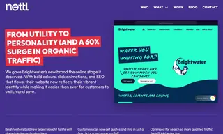 Preview of the Brightwater Case Study