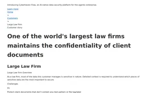 Preview of the Large Law Firm Case Study