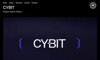 Preview of the Cybit Case Study
