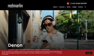 Preview of the Denon Case Study