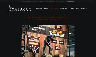 Preview of the Andreas Stihl Limited Case Study