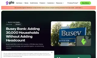 Preview of the Busey Bank Case Study