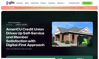 Preview of the AmeriCU Credit Union Case Study