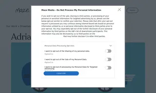 Preview of the Adrian Flux Case Study