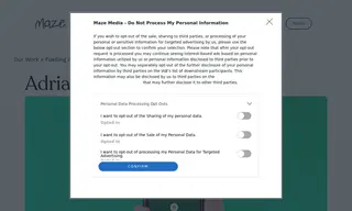 Preview of the Adrian Flux Case Study