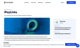 Preview of the iPayLinks Case Study