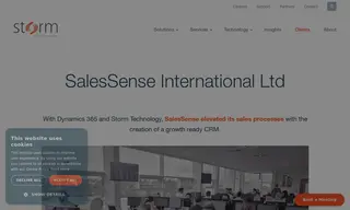 Preview of the SalesSense International Ltd Case Study