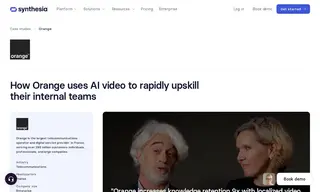 Preview of the Orange Case Study