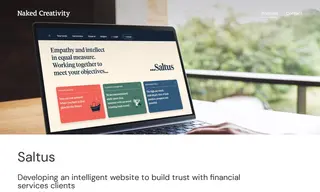 Preview of the Saltus Case Study