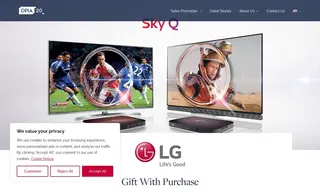 Preview of the LG Electronics Case Study