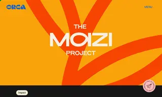 Preview of the The MAZI Project Case Study