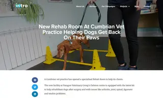 Preview of the Paragon Veterinary Group Case Study