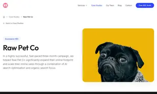 Preview of the Raw Pet Co Case Study
