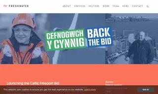 Preview of the Celtic Freeport Consortium Case Study