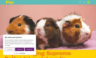 Preview of the Supreme Petfoods Case Study