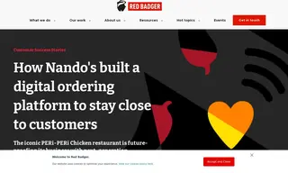 Preview of the Nando's Case Study