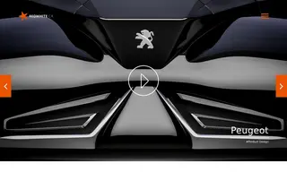 Preview of the Peugeot Case Study