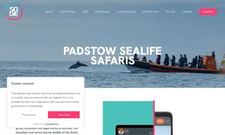 Preview of the Padstow Sealife Safaris Case Study