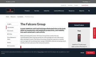 Preview of the The Falcons Group Case Study