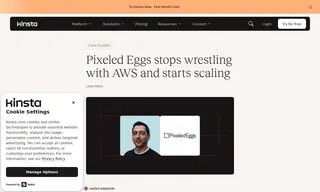 Preview of the Pixeled Eggs Case Study