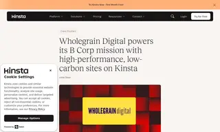Preview of the Wholegrain Digital Case Study
