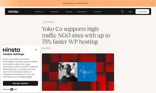 Preview of the Yoko Co Case Study