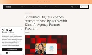 Preview of the Snowmad Digital Case Study