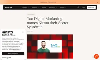Preview of the Tao Digital Marketing Case Study