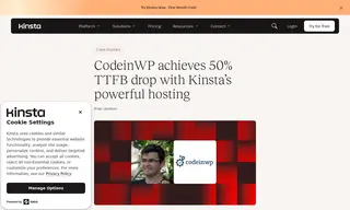 Preview of the CodeinWP Case Study