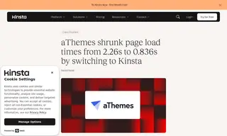 Preview of the aThemes Case Study