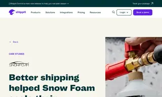 Preview of the Snow Foam Case Study