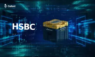 Preview of the HSBC Case Study