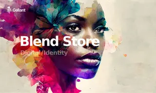 Preview of the BlendStore Case Study