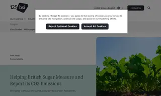 Preview of the British Sugar Case Study