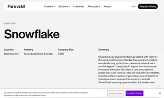 Preview of the Snowflake Inc Case Study