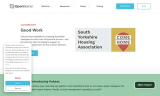 Preview of the Good Work Case Study