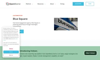 Preview of the Blue Square Case Study
