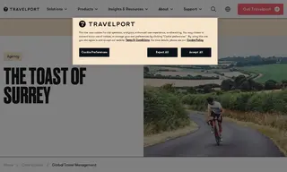 Preview of the Global Travel Management Case Study