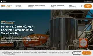 Preview of the Deloitte Case Study